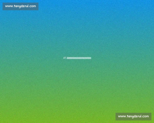 41 岁詹姆斯的最后一搏：用冠军烈火燃烧岁月